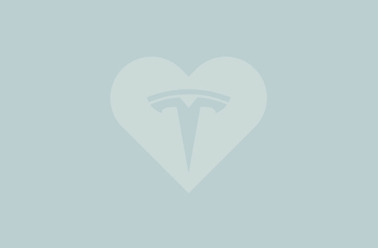 Tesla logo on a heart.