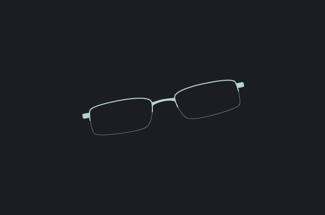 Edward Snowden's glasses.